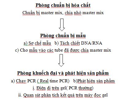 bo tri thiet bi phong thi nghiem sinh hoc phan tu