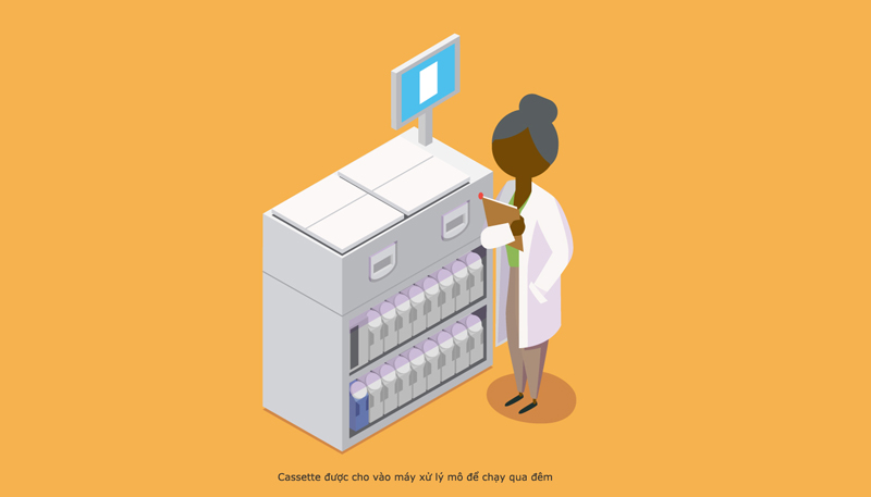 quy trinh giai phau benh 4