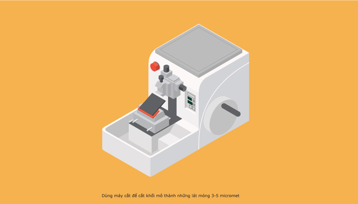 quy trinh giai phau benh 6