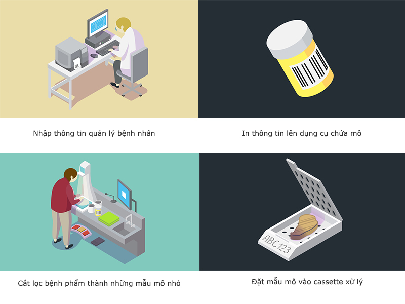 quy trinh giai phau benh 3