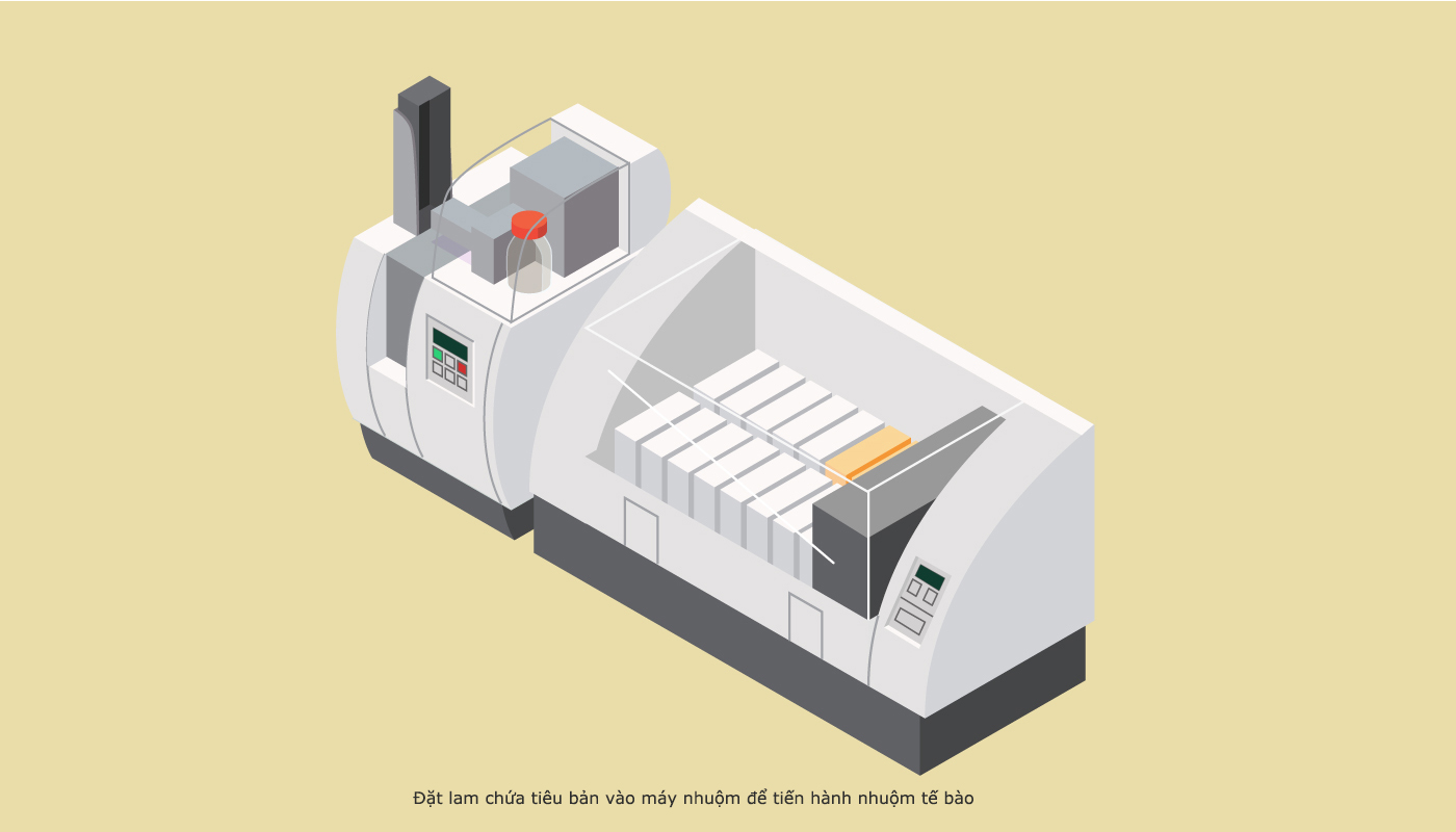 quy trinh giai phau benh 8