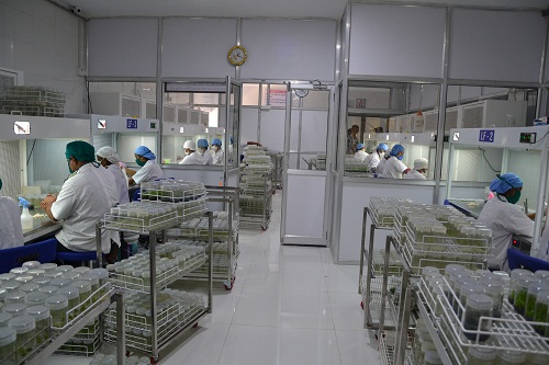 xay dung phong thi nghiem nuoi cay mo thuc vat 1