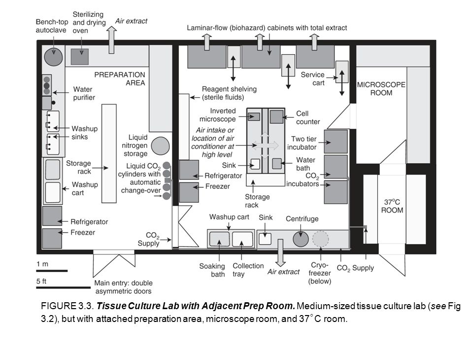 xay dung phong thi nghiem nuoi cay mo thuc vat